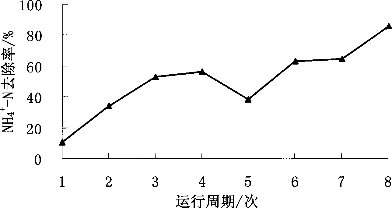 Preparation of embedding immobilized effective microorganism gel bead