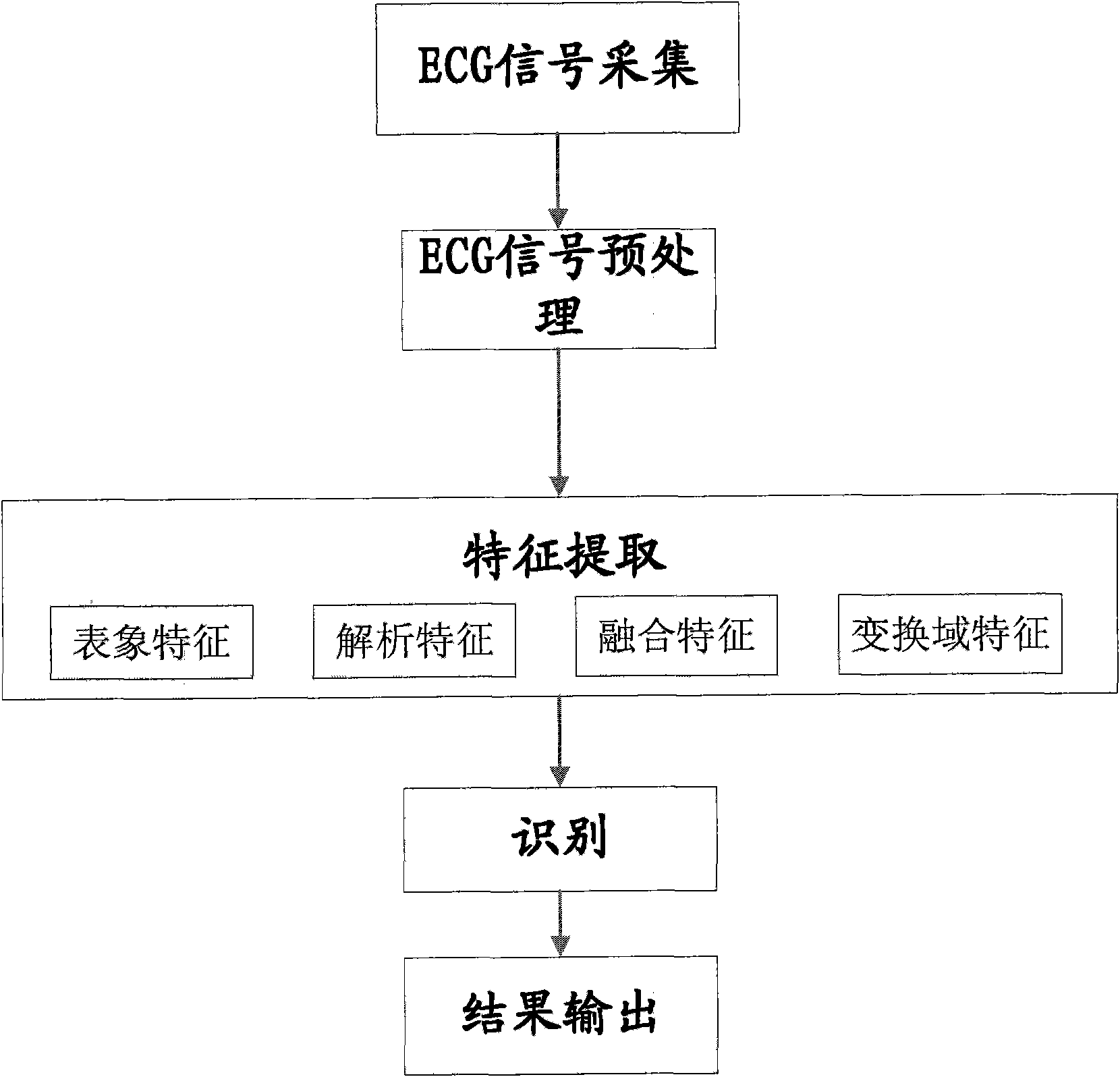 Identification method and identification system using identification method