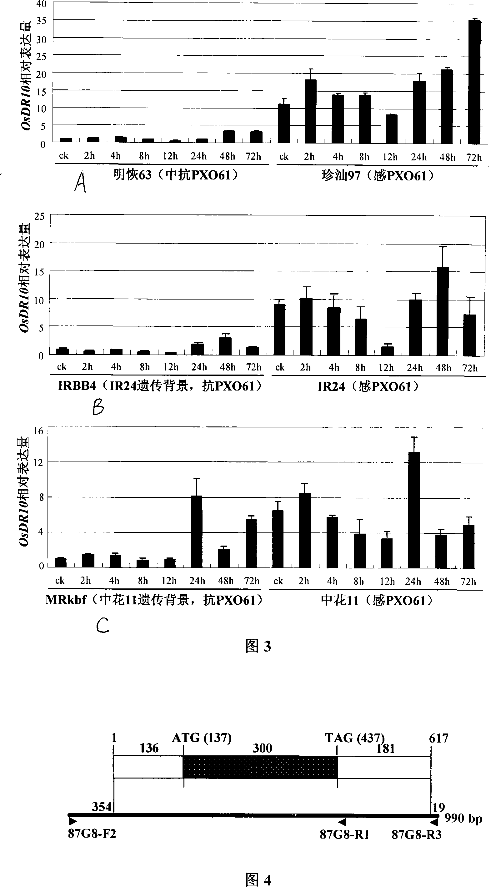 Rice disease-resistant related gene OsDR10 and its application in rice disease resistance