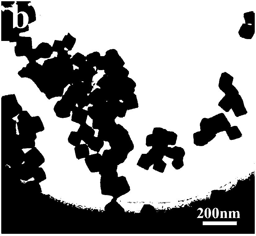 Macromolecular separation film as well as preparation method and application thereof