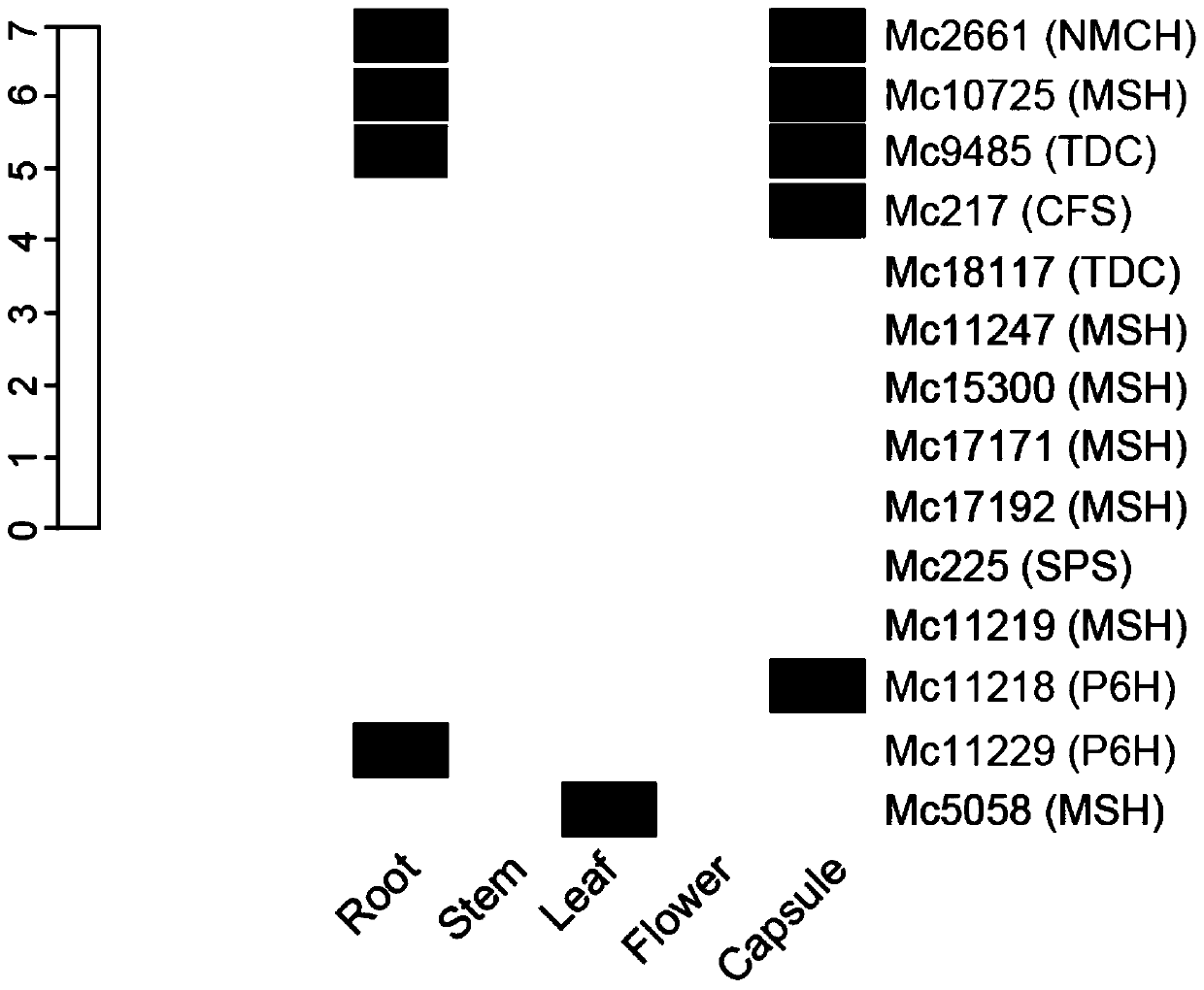 Cytochrome p450 gene involved in the synthesis of sanguinarine and chelerythrine in Bo Luohui and its application