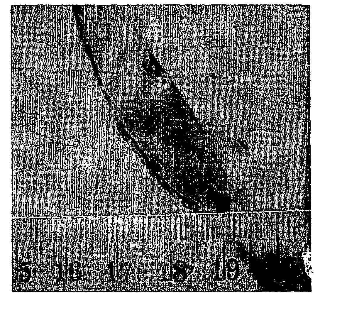 Method for soil remediation and engineering