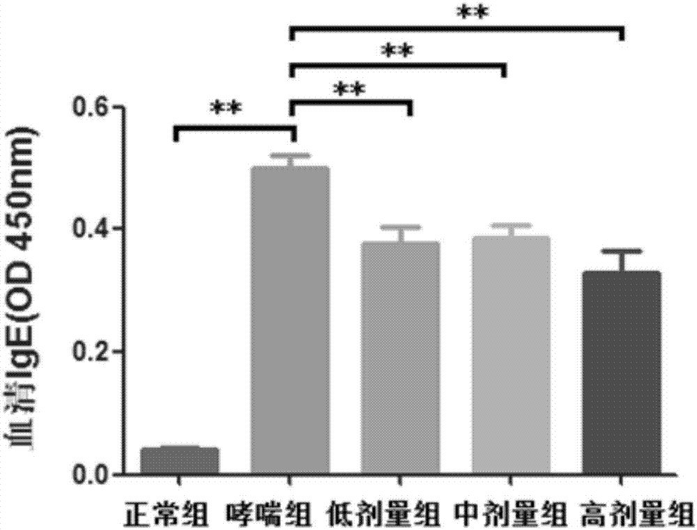 Application of resveratrol to preparation of drugs for treating or relieving chronic airway inflammation