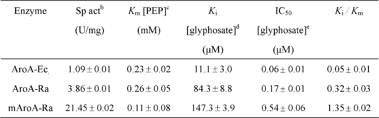 EPSP synthase AroA-Ra multisite mutant of rahnella aquatilis