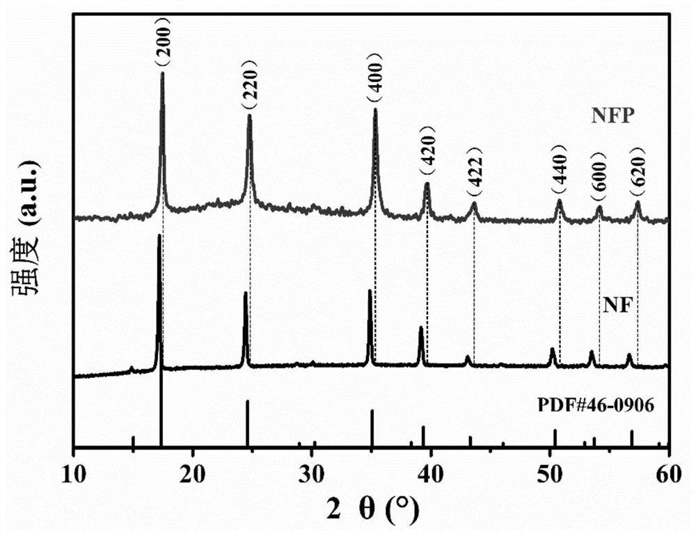 Nano-porous material anode catalyst and preparation method thereof