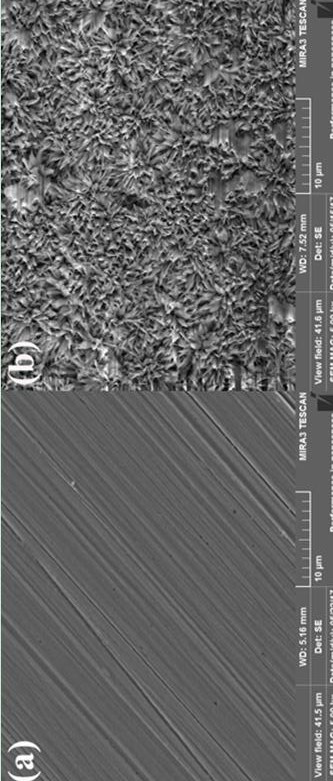 Hyperbranched organic ionic liquid type metal corrosion inhibitor and preparation method thereof