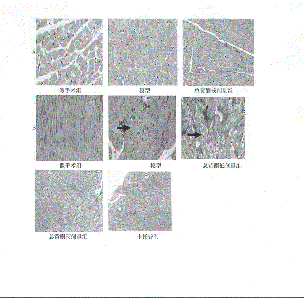 Preparation method and application of effective part of dracocephalum heterophyllum benth