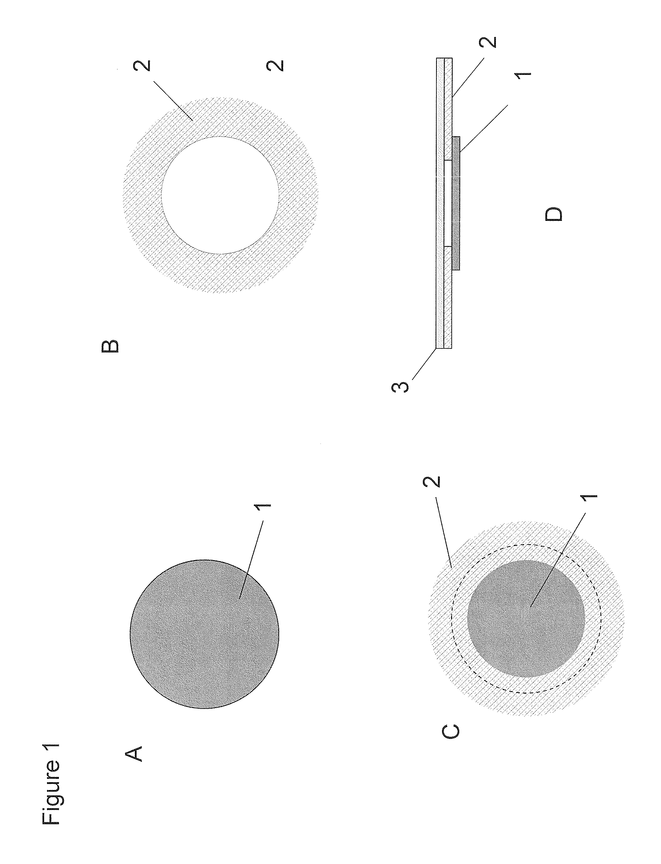 Amnion and chorion wound dressing and uses thereof