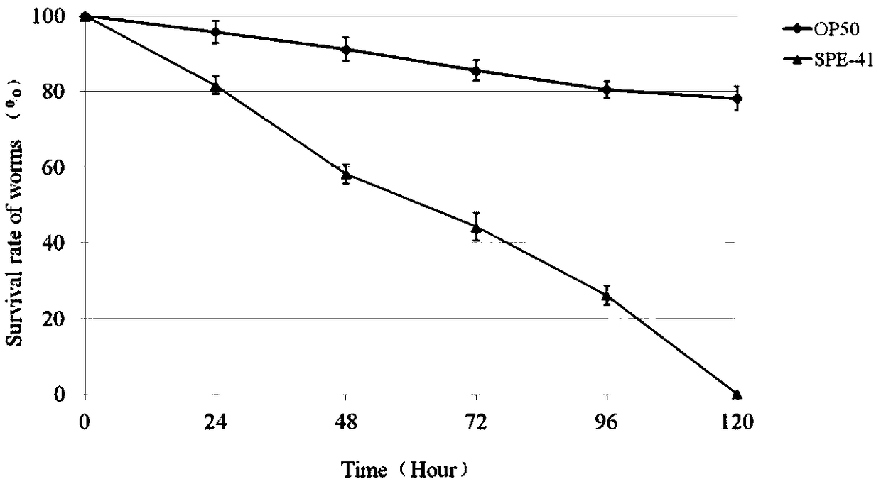 Application of pseudomonas chlororaphis subsp.aureofaciens in preventing and controlling nematode