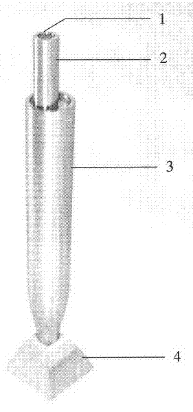 Telescopic alcolock system