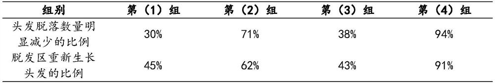 Application of ginsenoside composition in preparation of medicine for preventing and treating alopecia by acting on hair follicle tissue