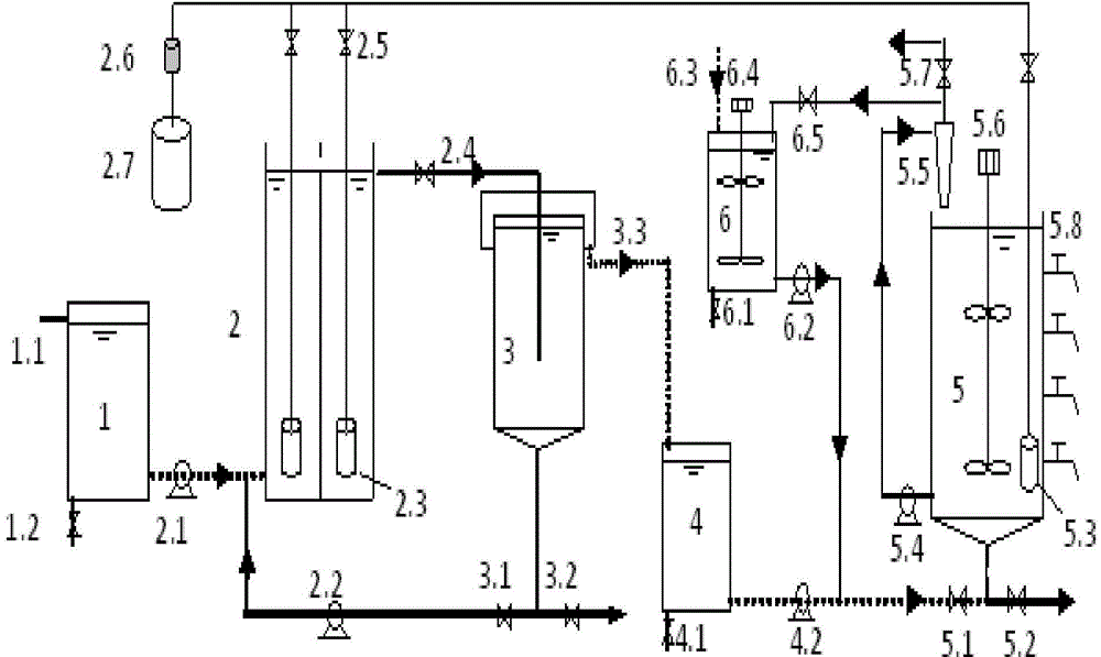 Method for realizing autotrophic nitrogen removal of city sewage through symbiosis of flocculent sludge and granular sludge