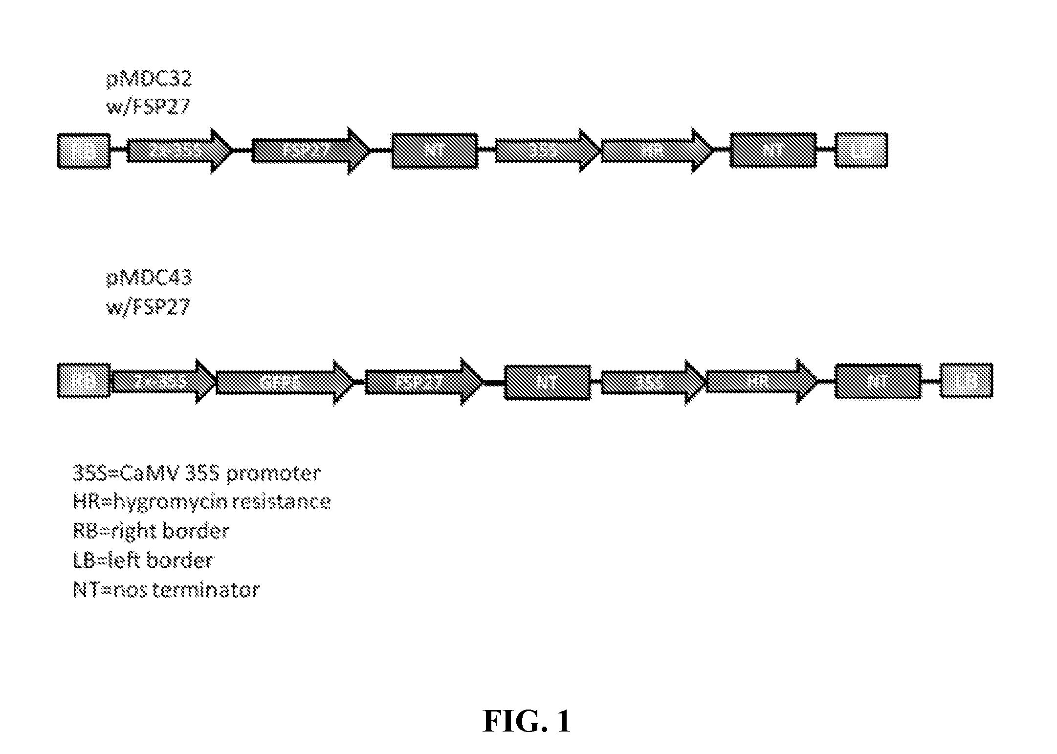 Methods for Elevating Fat/Oil Content in Plants