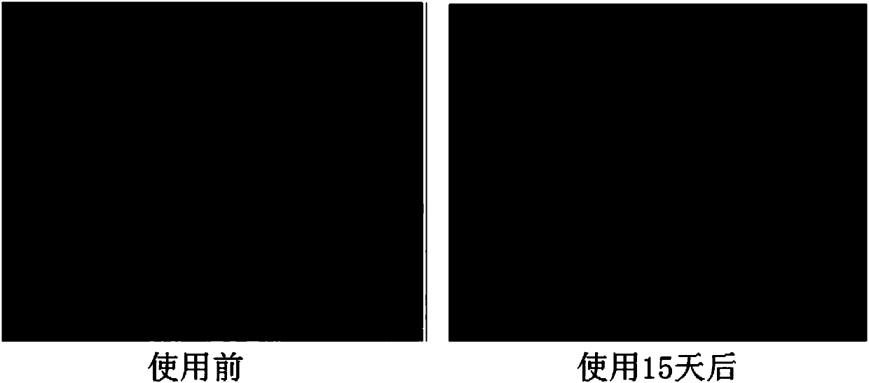 Fructus hippophae moisturizing repairing mask and preparation method thereof