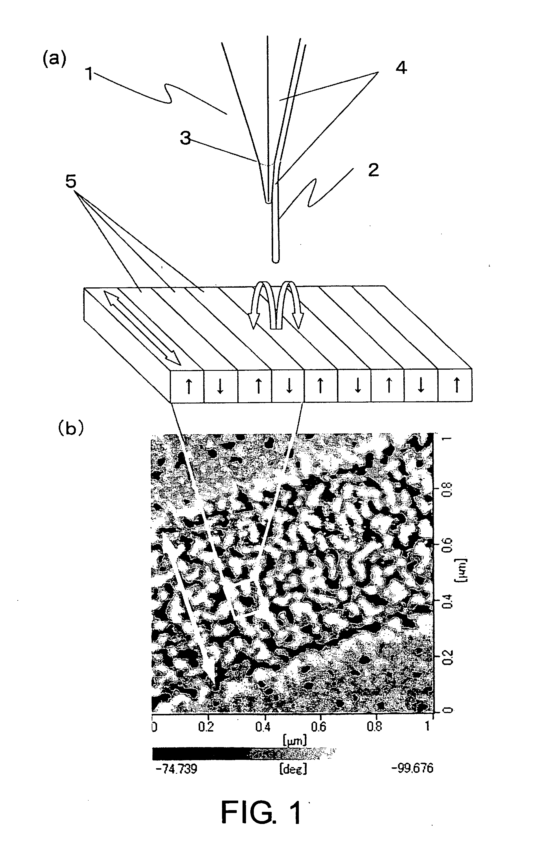 Probe for a scanning magnetic force microscope, method for producing the same, and method for forming ferromagnetic alloy film on carbon nanotubes