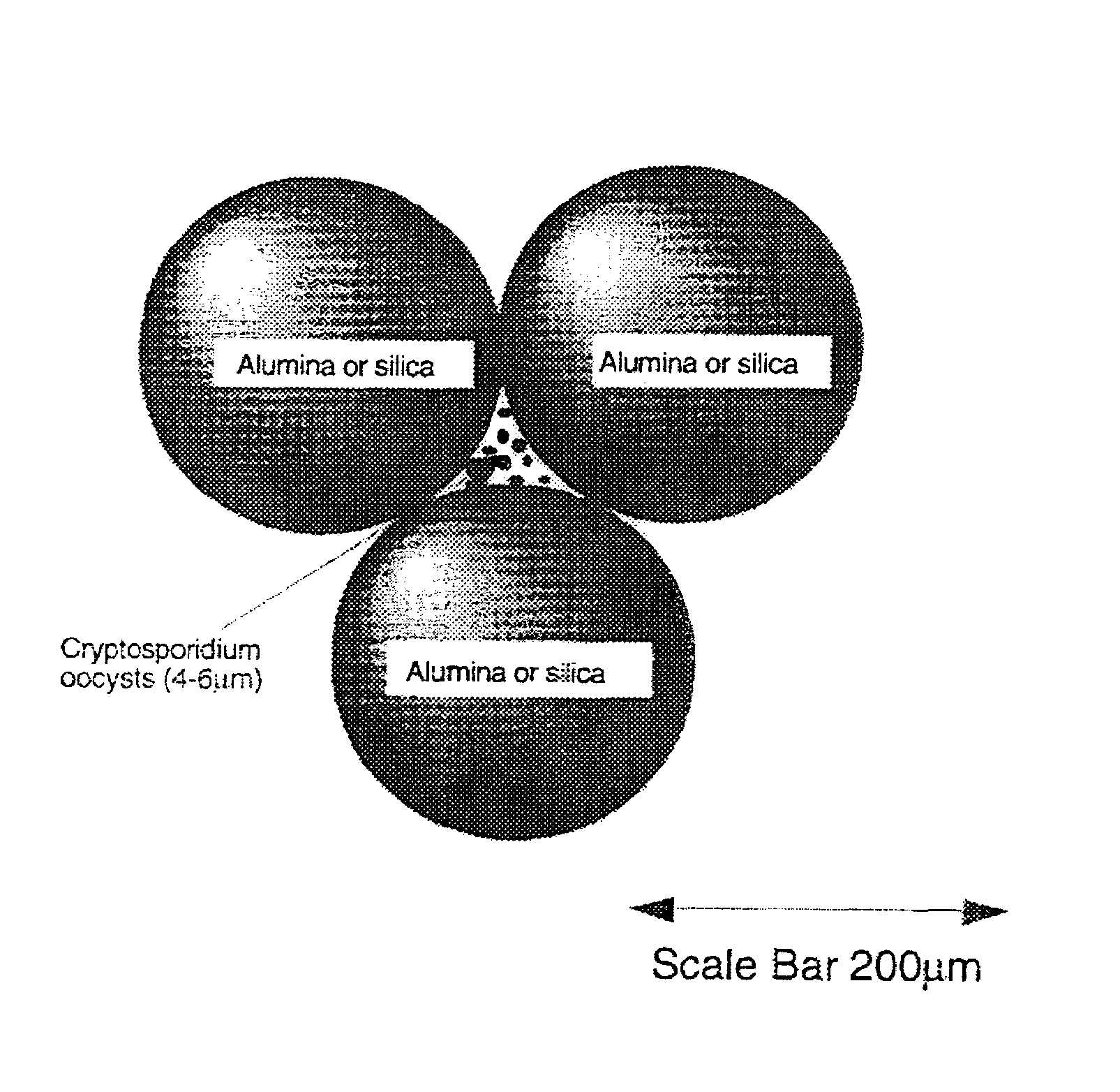 Method of water purification