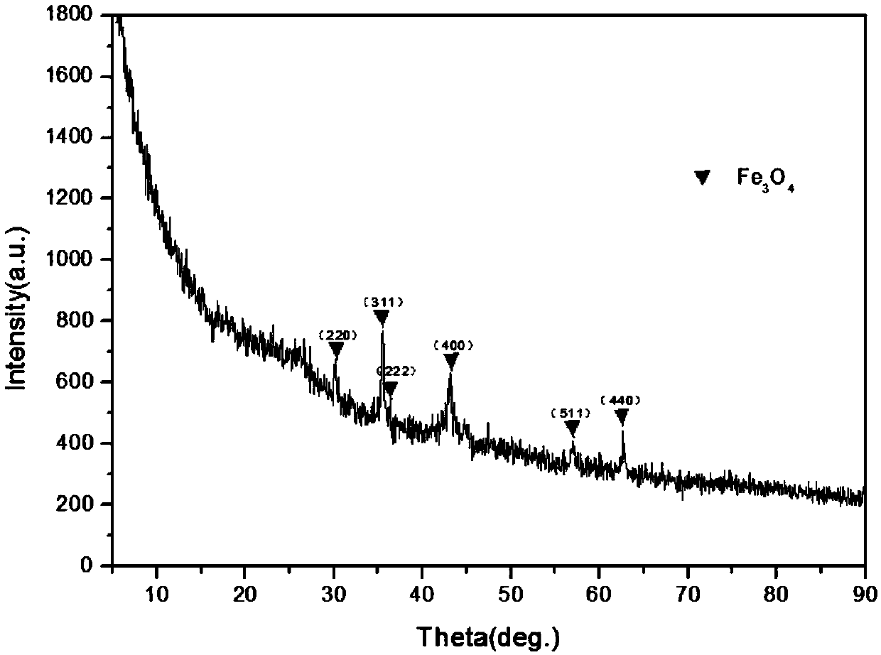 A method for preparing nitrogen-doped carbon nanotube-coated metal oxide particle composite materials from biomass waste