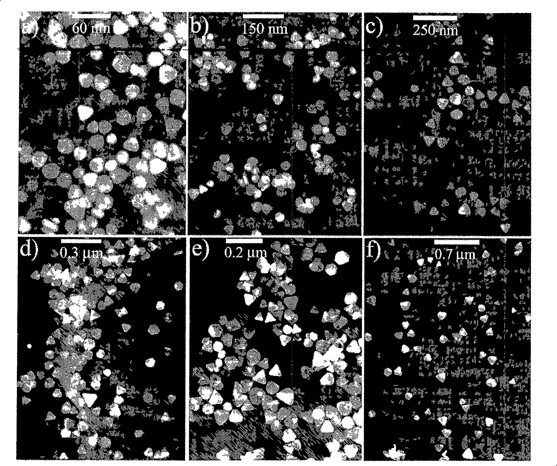 Method for preparing single dispersion triangular nano silver slice