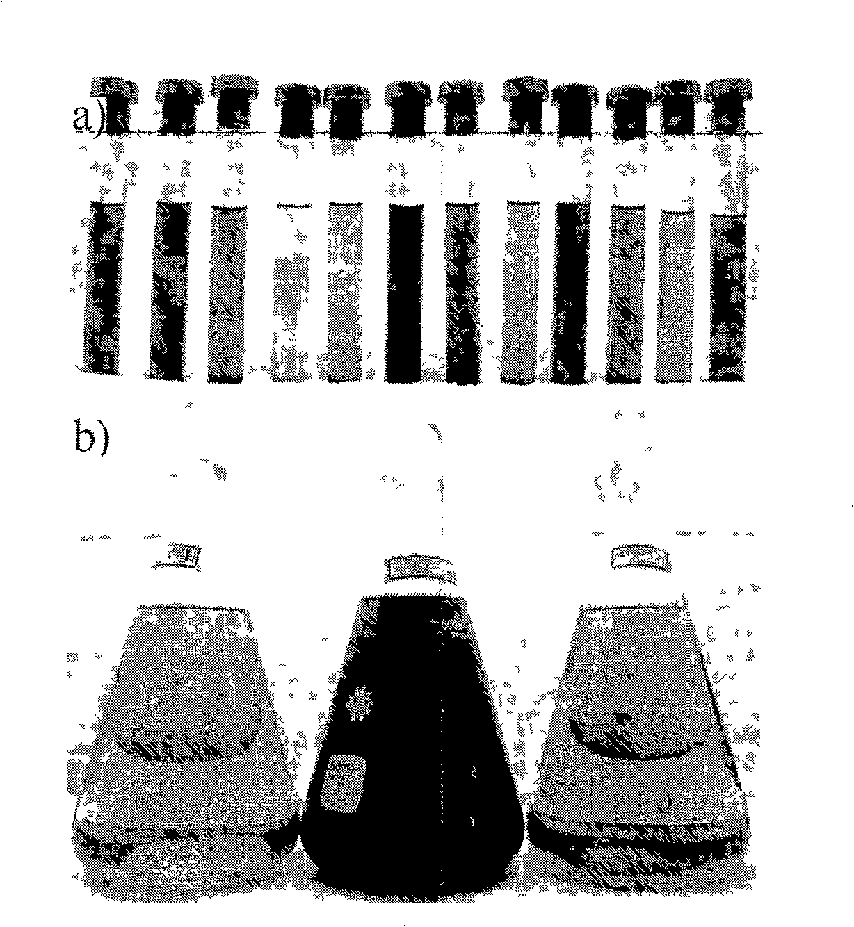 Method for preparing single dispersion triangular nano silver slice