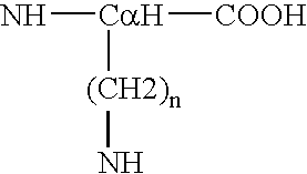 Process for the determination of peptides corresponding to immunologically important epitopes and their use in a process for determination of antibodies or biotinylated peptides corresponding to immunologically important epitopes, a process for preparing them and compositions containing them