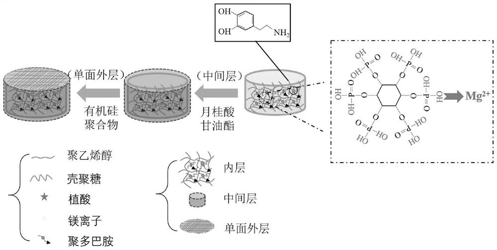 Double-network hydrogel film with single-side hydrophobicity and preparation method thereof