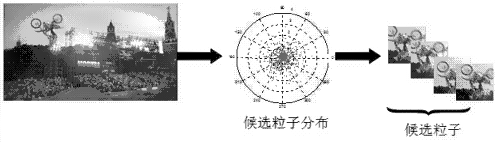 Sparse tracking method on basis of gradient texture features