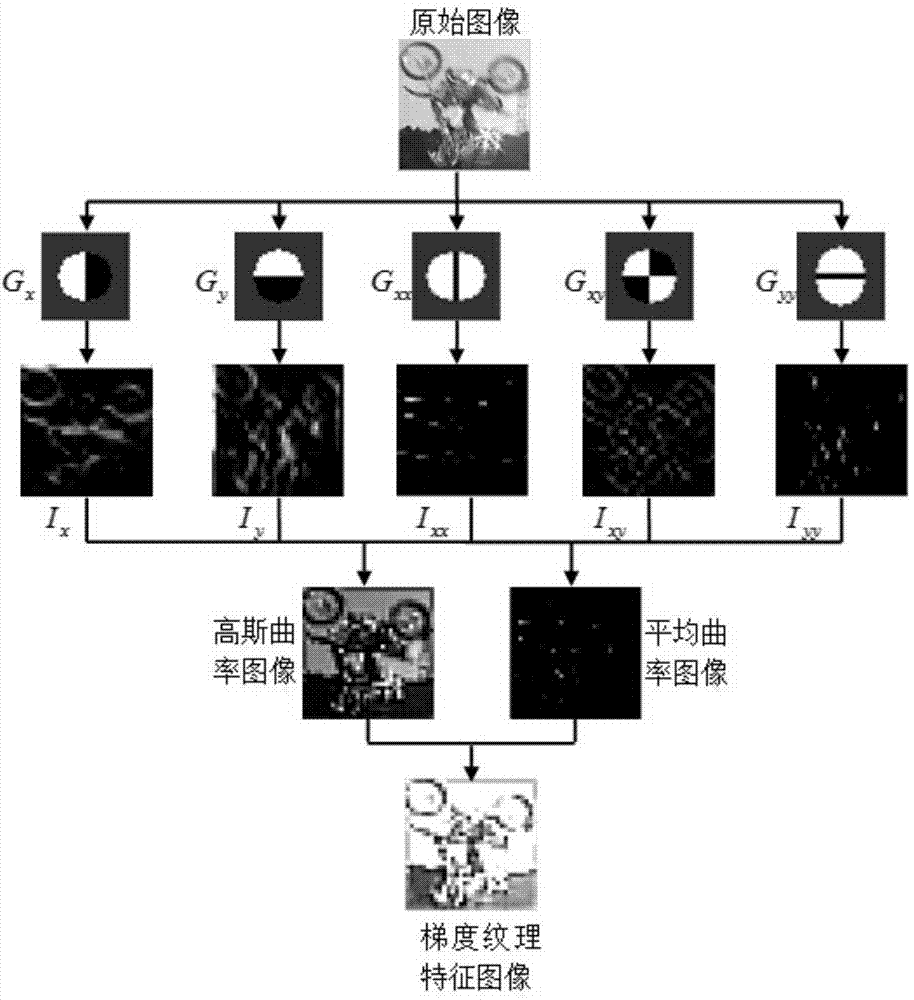 Sparse tracking method on basis of gradient texture features