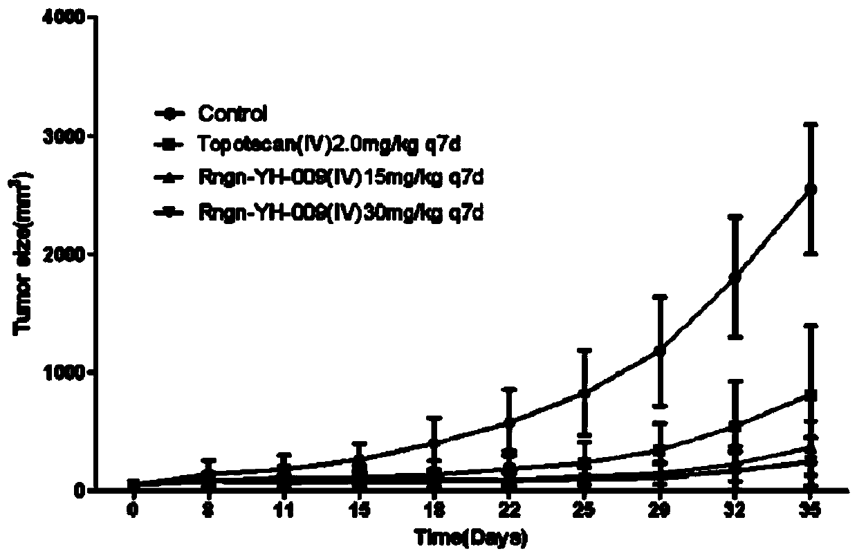 Camptothecin derivatives and their application in the preparation of antitumor drugs