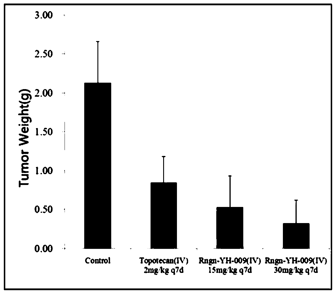 Camptothecin derivatives and their application in the preparation of antitumor drugs