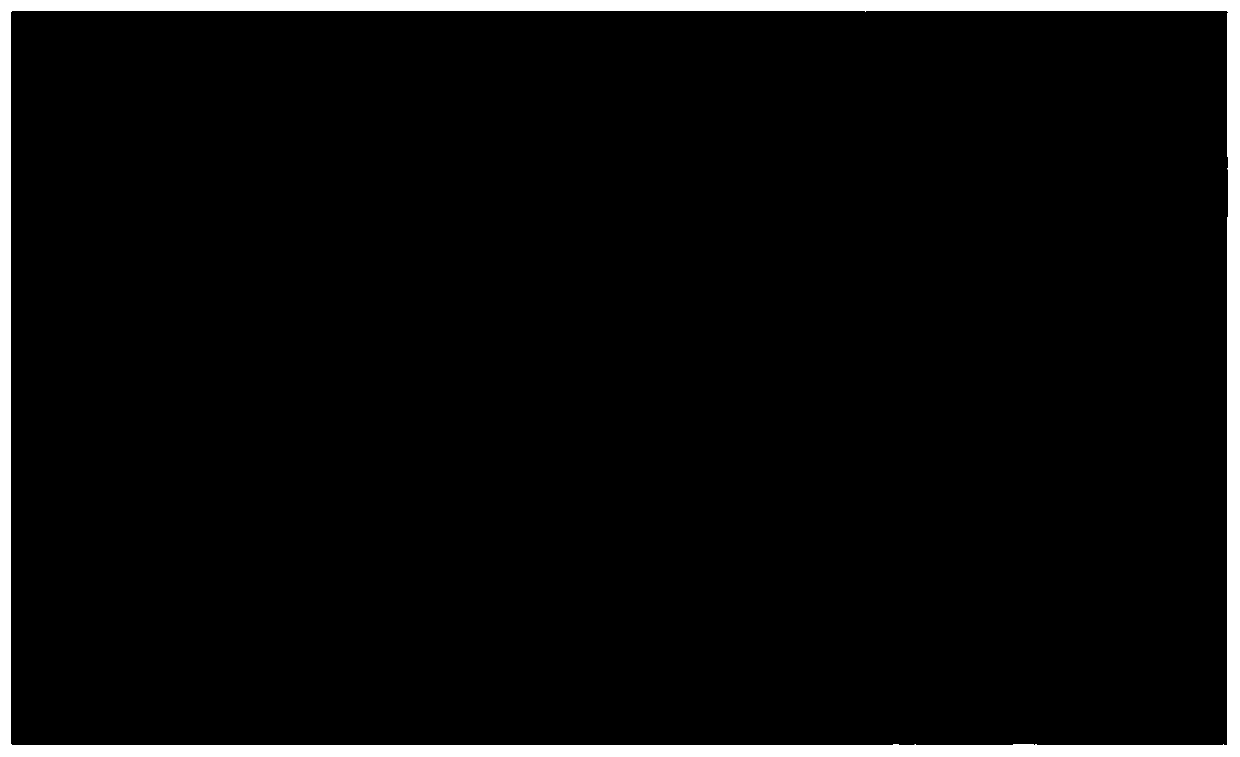 Camptothecin derivatives and their application in the preparation of antitumor drugs