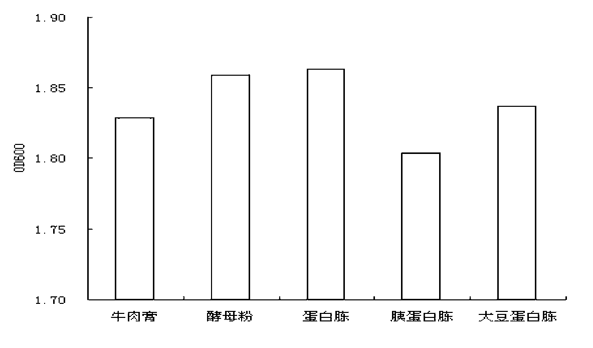 Engineering bacteria for producing peptidoglycan in high yield and application thereof