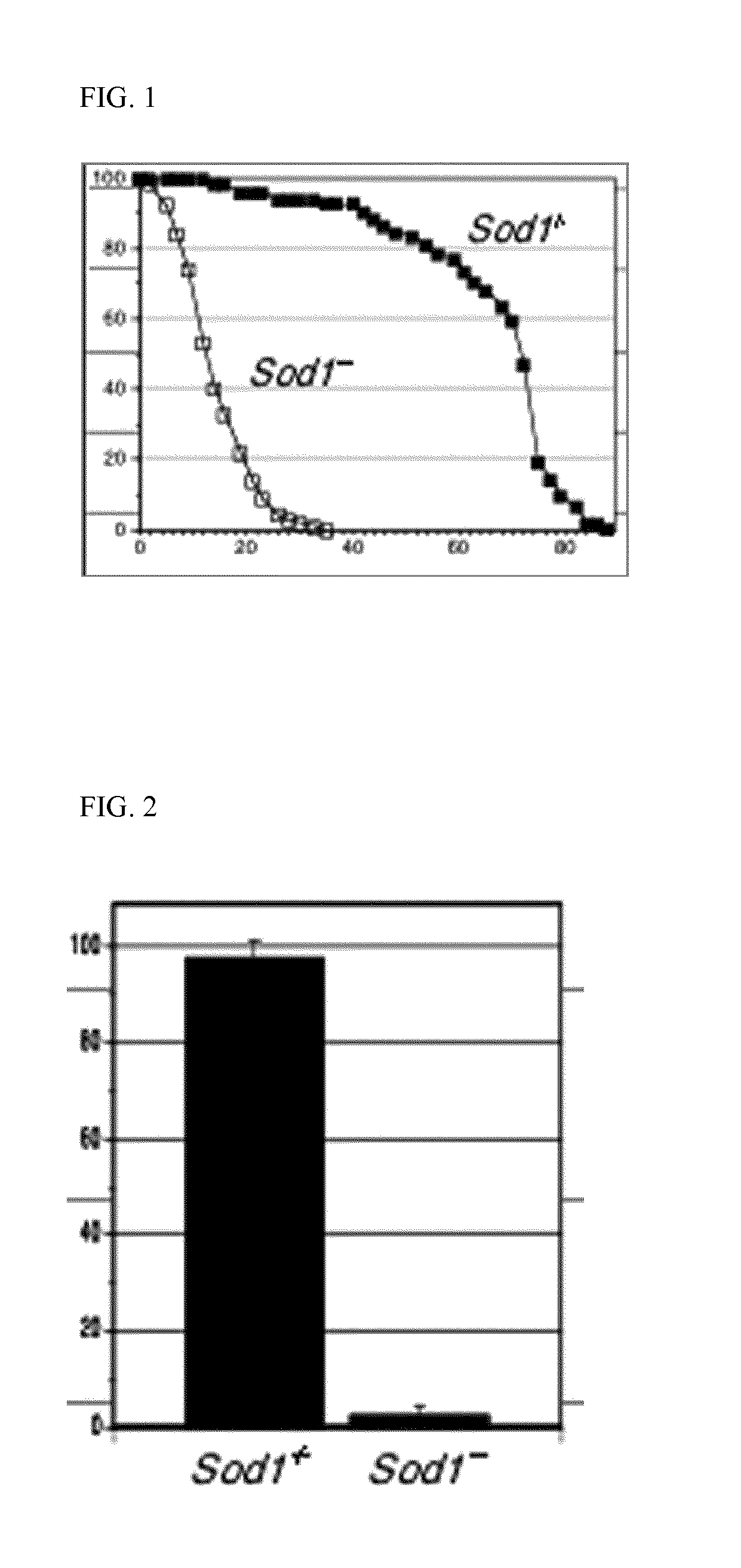 Combination of geranylgeranylacetone and ibudilast and methods of using same