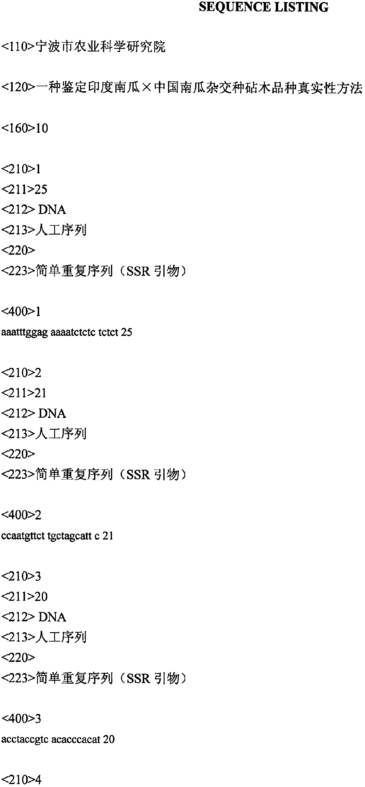 Method for identifying authenticity of Indian pumpkin*Chinese pumpkin hybrid rootstock varieties