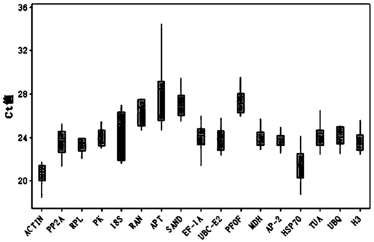 Fluorescence quantitative internal reference gene under heat stress in haizhou changshan mountain and primers and application thereof