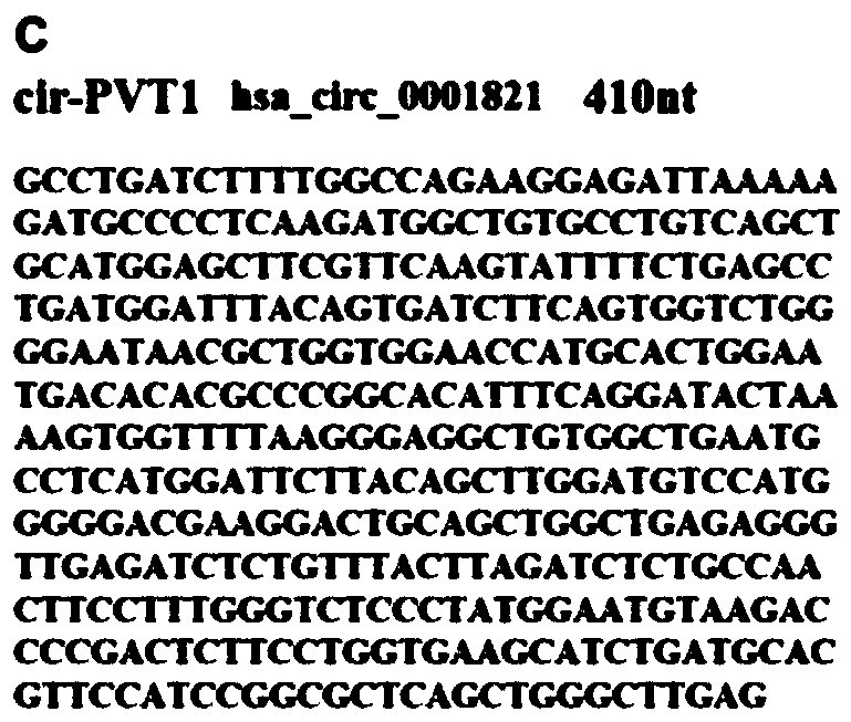 Application of CircRNA PVT1 and peptide fragment in tumor growth prediction, metastasis prediction, prognosis evaluation and treatment