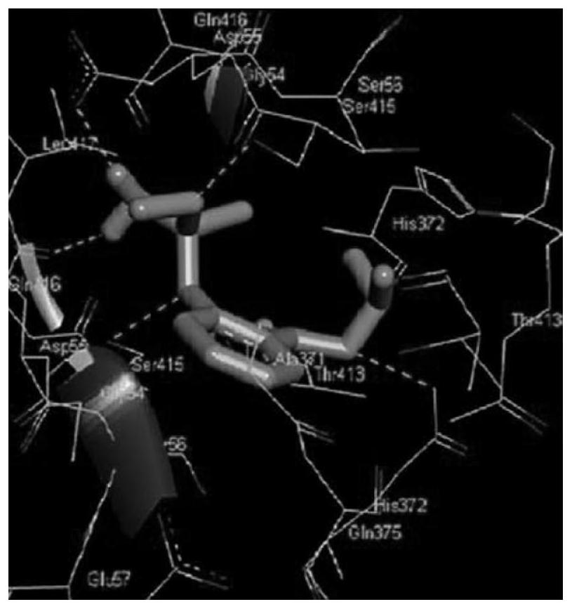 Method for degrading glyphosate pesticide by using lactobacillus alkaline phosphatase