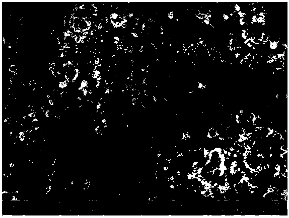 Preparation method for food-grade calcium hydroxide