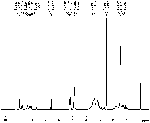 T7 peptide-modified active brain targeting nanometer drug delivery system and preparation method thereof