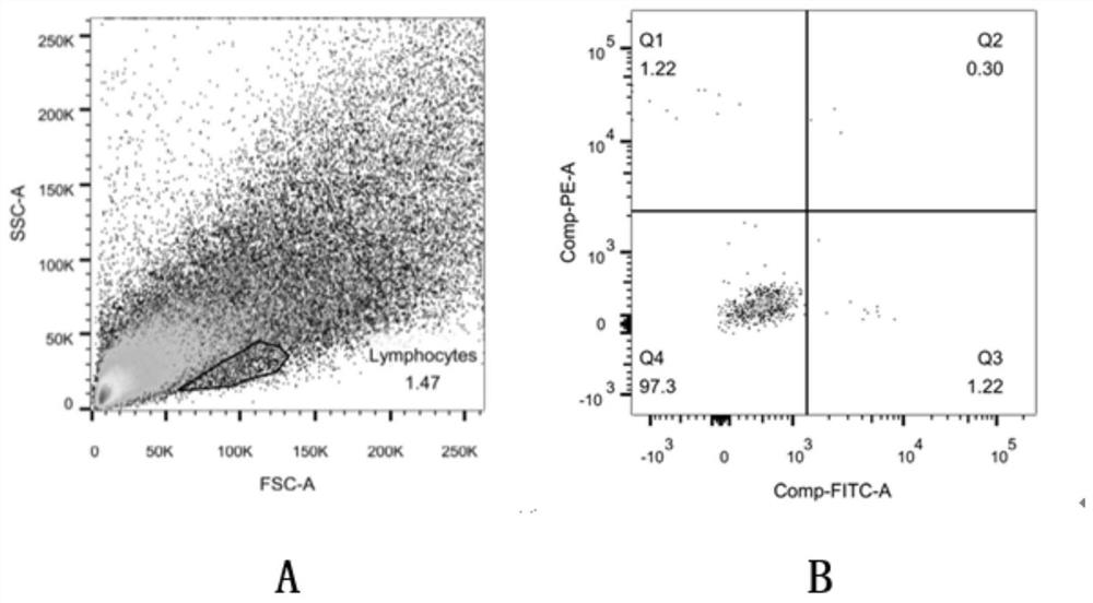 A kind of isolation and purification of mouse tumor tissue infiltrating CD4  <sup>+</sup> cd25  <sup>+</sup> regulatory t cell approach