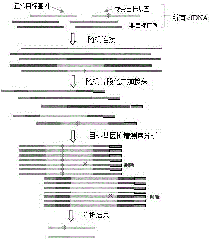 Constructing method of amplification sublibrary for precise sequencing of ctDNA