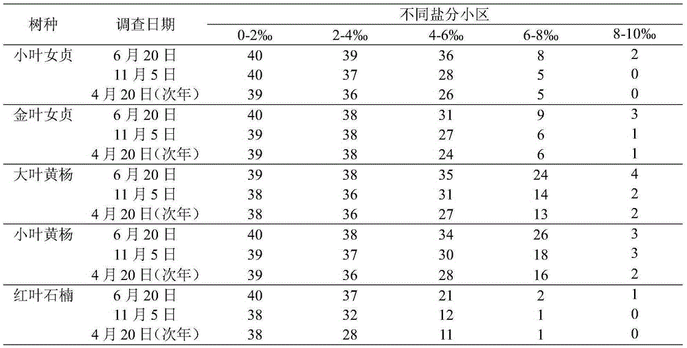 Method for testing salt tolerance of greening nursery stock in saline land