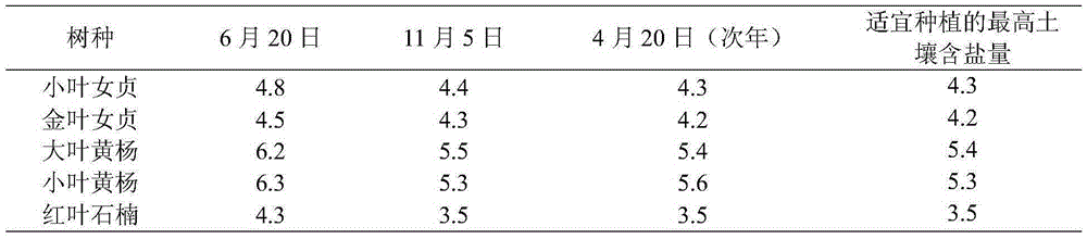 Method for testing salt tolerance of greening nursery stock in saline land