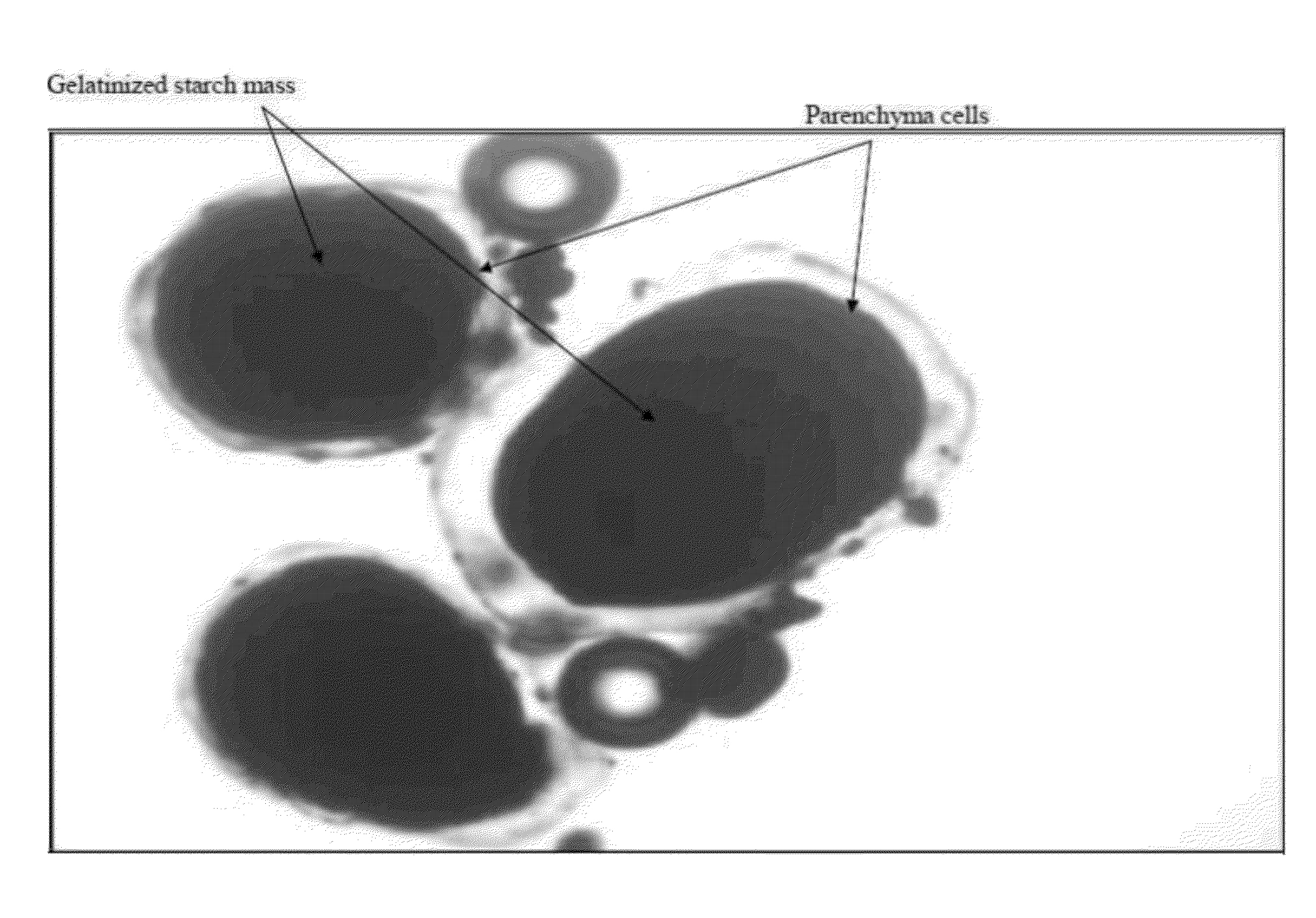 Potato products with enhanced resistant starch content and moderated glycemic response and methods thereof