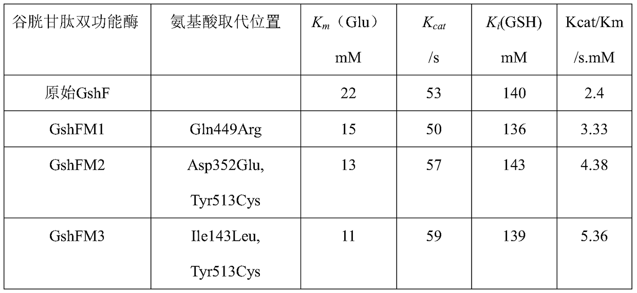 A mutant gene of the gshf gene of Streptococcus agalactiae and its application