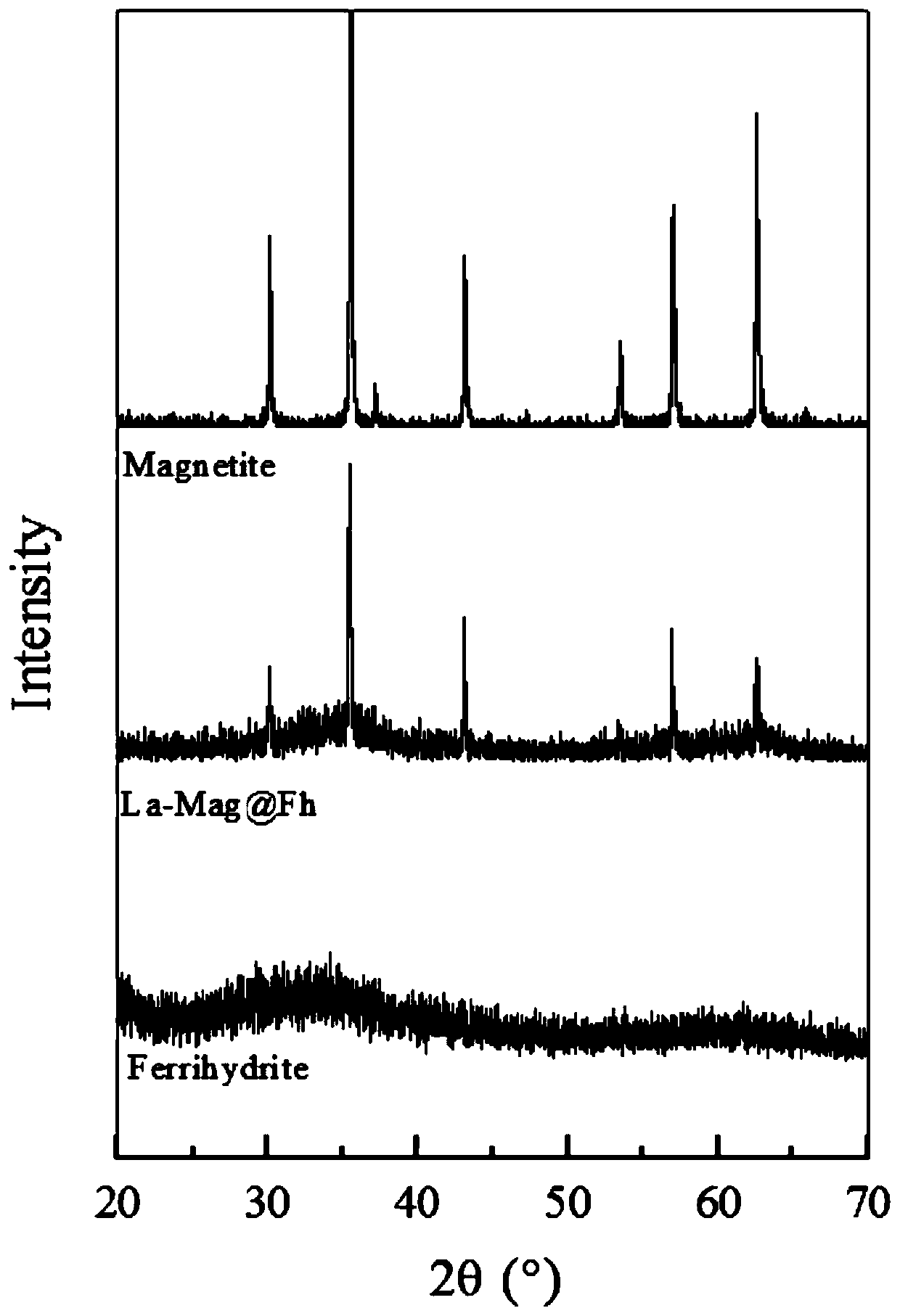 A kind of adsorbent for anion and cation adsorption and preparation method thereof