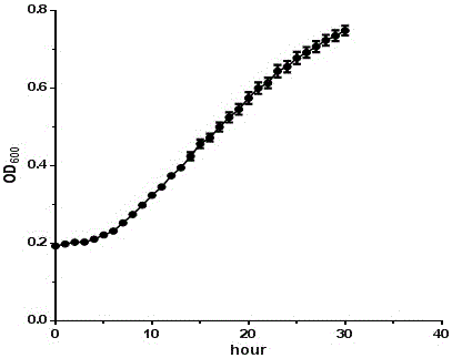 Rhizobium Scot1305 and application of rhizobium Scot1305 in promoting phytoremediation of heavy metal pollution of soil