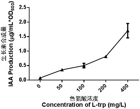 Rhizobium Scot1305 and application of rhizobium Scot1305 in promoting phytoremediation of heavy metal pollution of soil