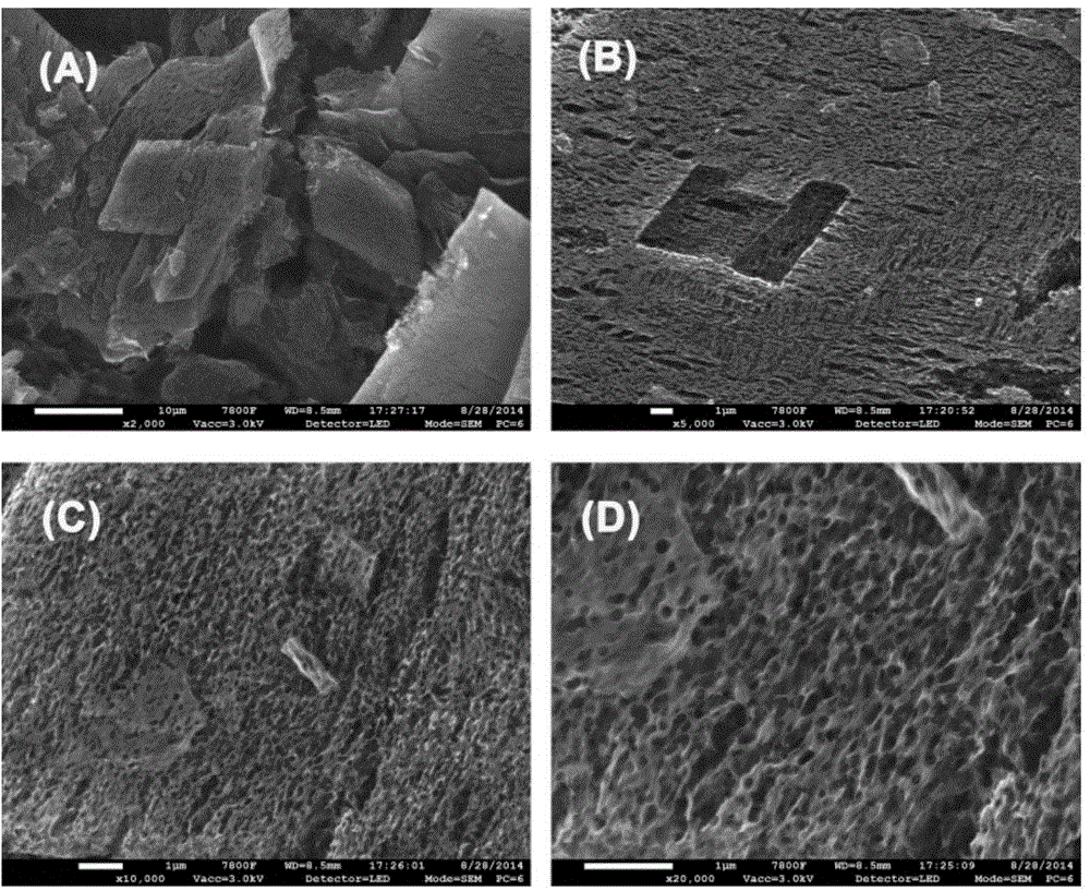 Porous carbon material and preparation and application thereof