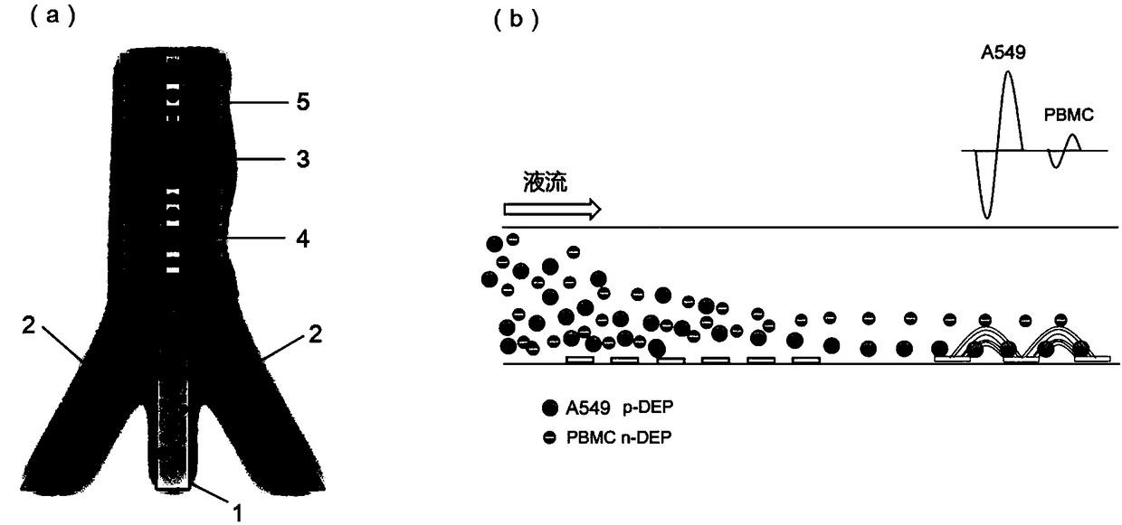 Particulate matter detection device and detection method