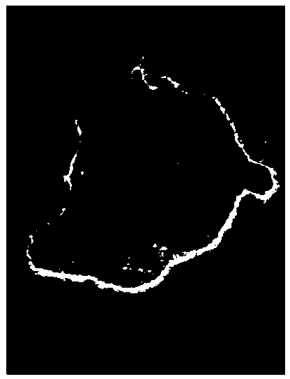 Island or reef coastline rapid obtaining method